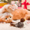 HuntBuddy™ Cat Bird Toy