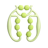 RevitaLeg™ Circular Leg Clamp
