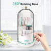 FreshNest™ Toothbrush Organizer