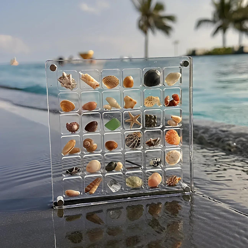 Acrylic Shell Display Box