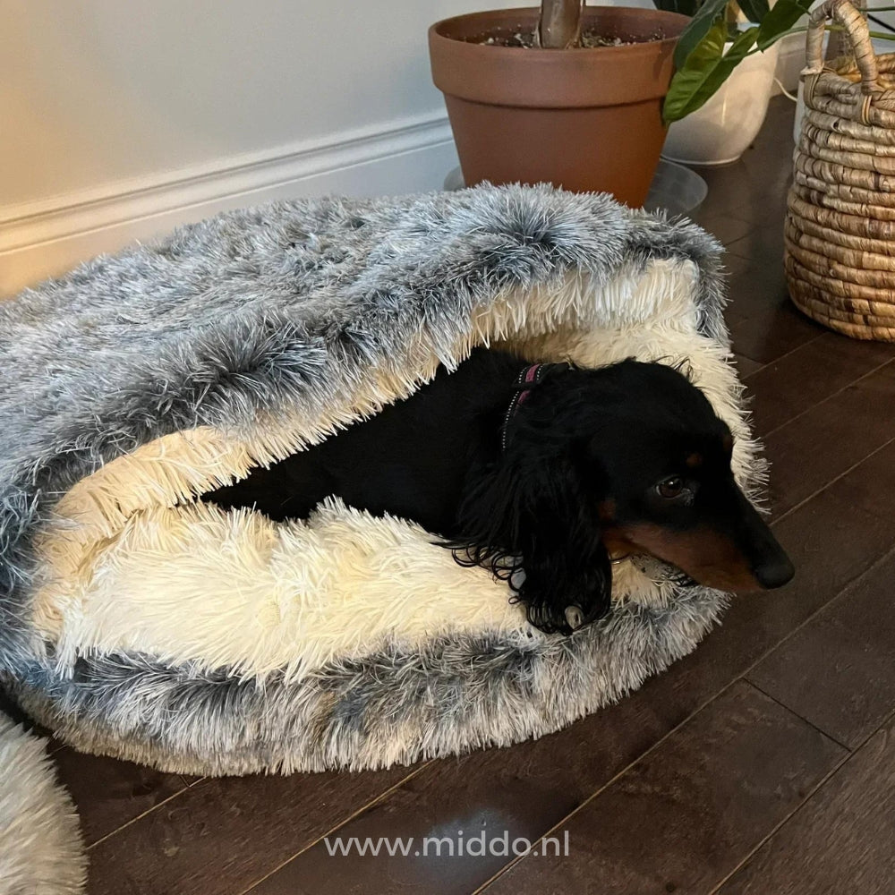 SoftDream™ Comfy Pet Bed