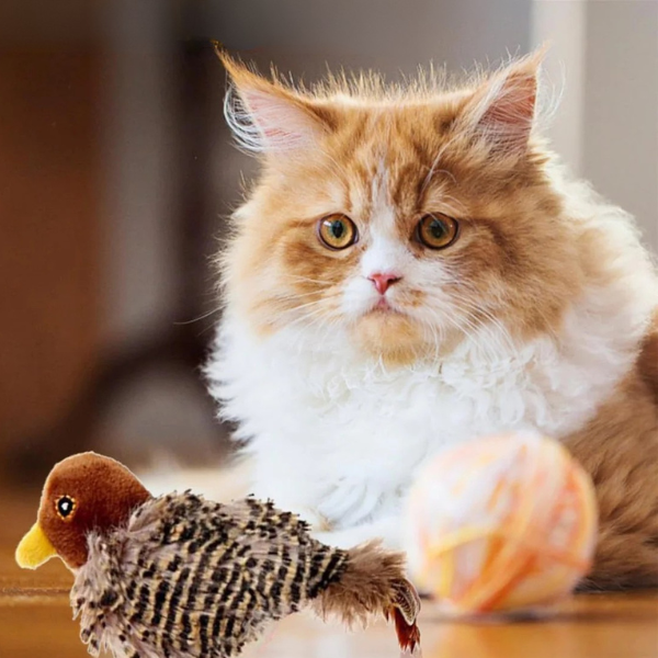 HuntBuddy™ Cat Bird Toy