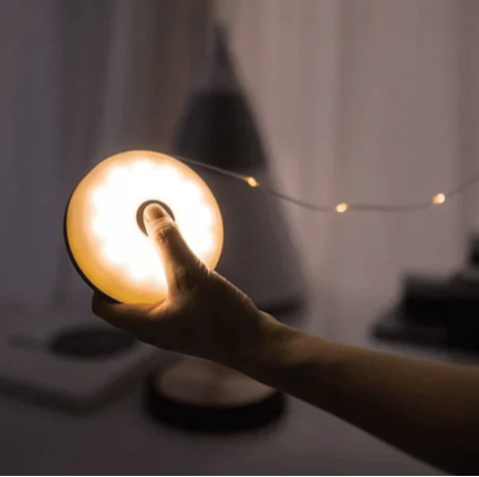 EverBright™ Portable Fairy Led Light