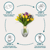 Last Day 1+1 Free🔥 I FloraHold™ Spiral Stem Holder For Vase Flowers