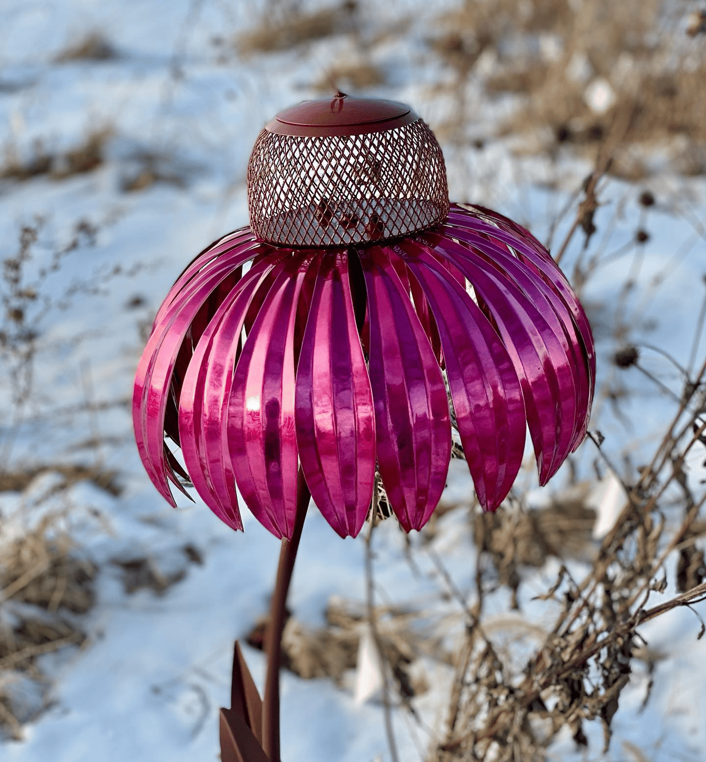 Coneflower Bird Feeder