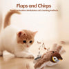HuntBuddy™ Cat Bird Toy