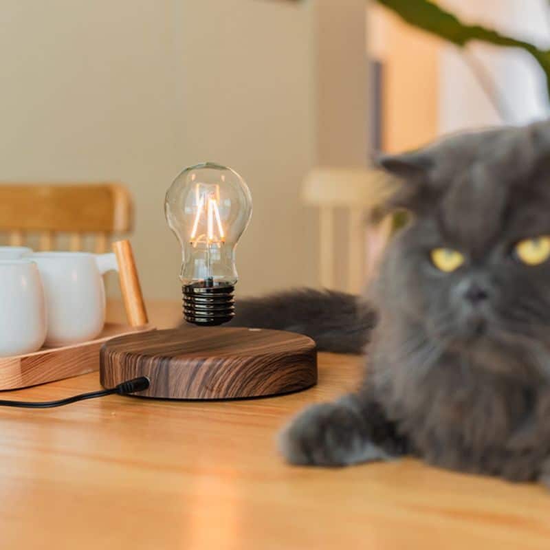 FloatGlow™ LED Floating Lamp