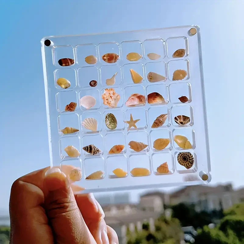 Acrylic Shell Display Box