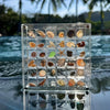 Acrylic Shell Display Box